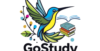 Go Study Spanish School Online San Pedro La Lagunaa